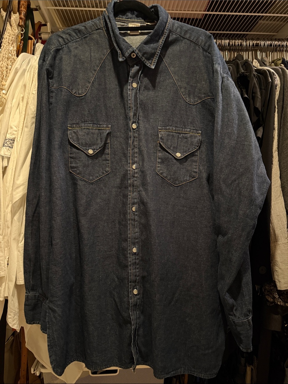 Gap 1969 Dark Blue Denim Western Dress